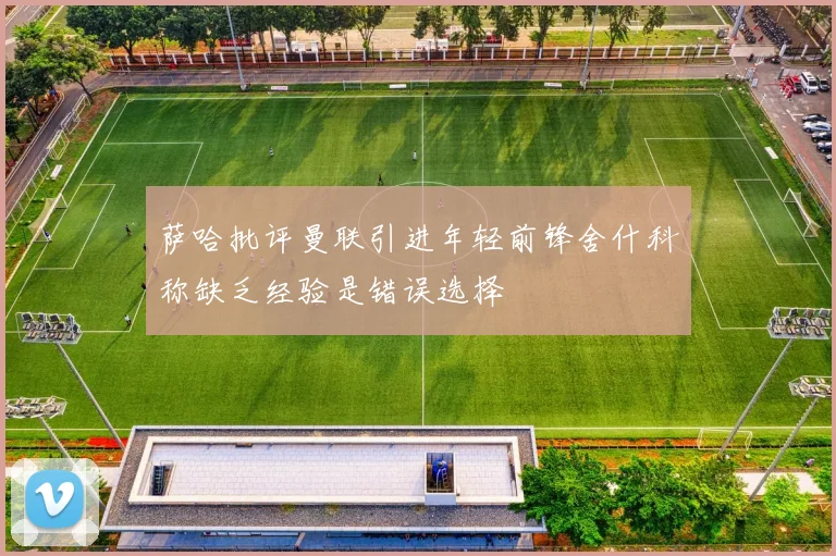 萨哈批评曼联引进年轻前锋舍什科称缺乏经验是错误选择